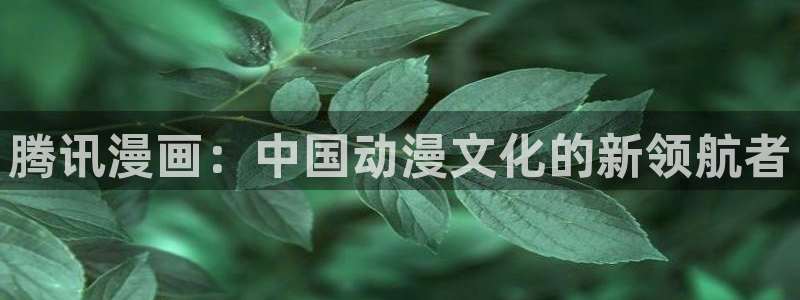 韩漫汗汗漫画网